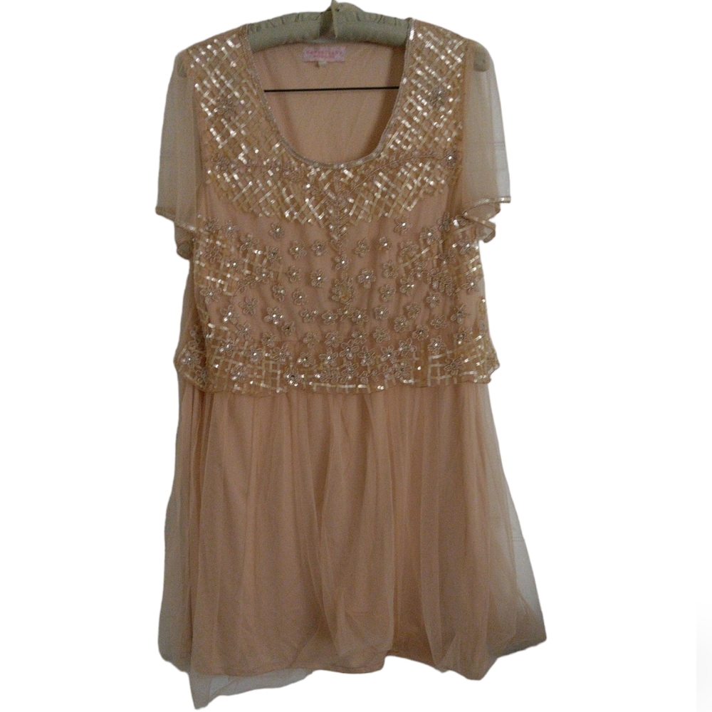 Gatsbylady London Size US 20 Pink Sequin Dress